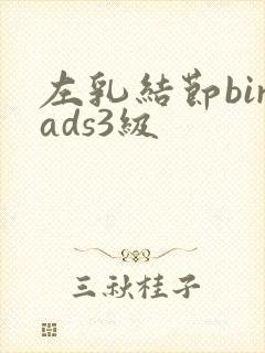 左乳结节birads3级