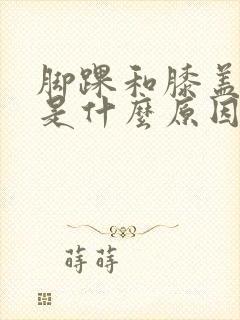 脚踝和膝盖肿痛是什么原因封面