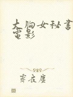 大胸女秘书韩国电影封面