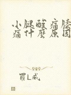 小腿酸痛膝盖疼痛什么原因