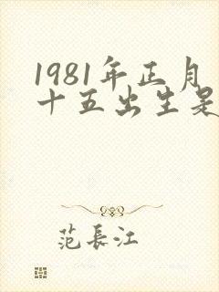 1981年正月十五出生是什么命封面