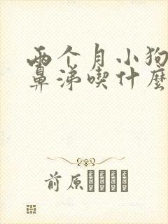 两个月小狗流黄鼻涕吃什么药