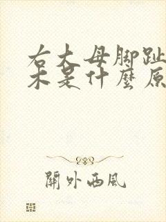 右大母脚趾头麻木是什么原因