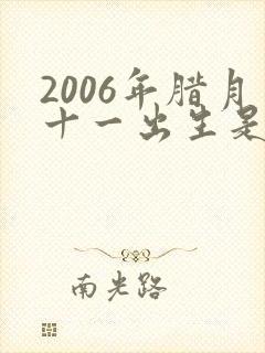 2006年腊月十一出生是什么命