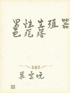 男性生殖器 白色疙瘩