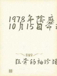 1978年阴历10月15日命运如何