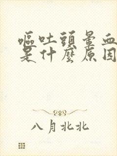 呕吐头晕血压高是什么原因引起的