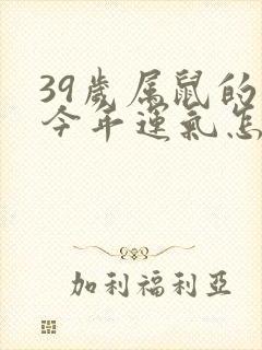 39岁属鼠的人今年运气怎么样