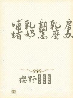 哺乳期乳房胀痛堵奶怎么办