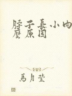 脖子长小肉粒什么原因