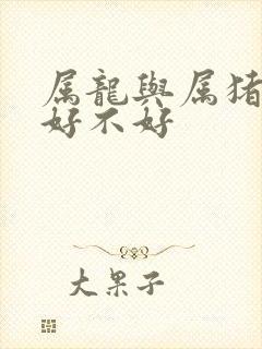 属龙与属猪婚配好不好