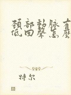 颈部动脉有斑块低回声怎么办