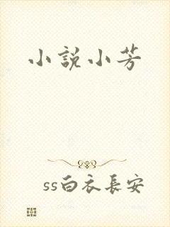 小说小芳