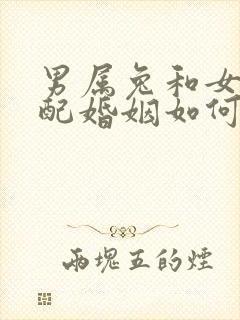 男属兔和女羊相配婚姻如何