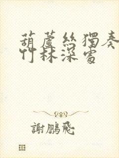 葫芦丝独奏曲 竹林深处封面