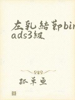 左乳结节birads3级