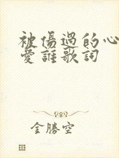 被伤过的心可以爱谁歌词