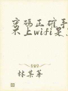 密码正确手机连不上wifi是怎么回事