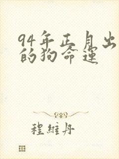 94年正月出生的狗命运