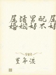 属猪男配属猪女婚姻好不好封面