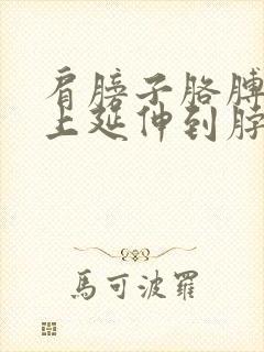 肩膀子胳膊疼往上延伸到脖子