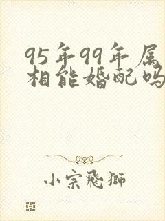 95年99年属相能婚配吗封面