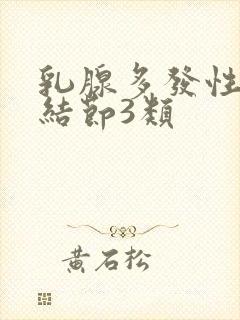 乳腺多发性实性结节3类