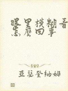 眼里模糊看不清怎么回事封面