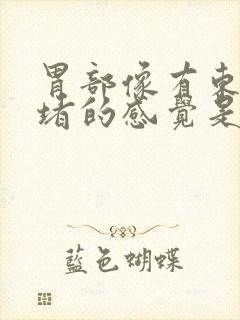 胃部像有东西在堵的感觉是什么原因