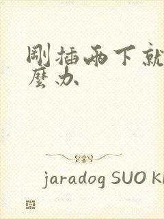 刚插两下就射怎么办