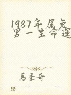 1987年属兔男一生命运及婚姻