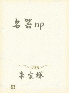 名器np