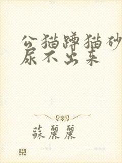 公猫蹲猫砂很久尿不出来