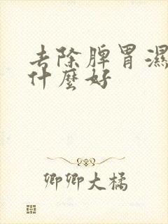 去除脾胃湿气吃什么好