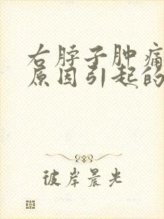 右脖子肿痛什么原因引起的