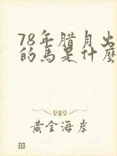 78年腊月出生的马是什么命封面