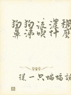 狗狗流浓稠的黄鼻涕吃什么药