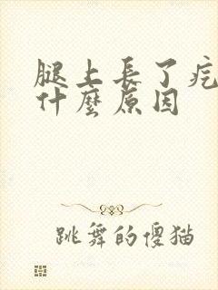 腿上长了疙瘩是什么原因