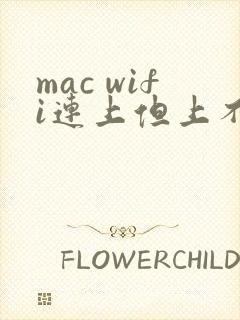 mac wifi连上但上不了网