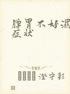 脾胃不好湿气重症状