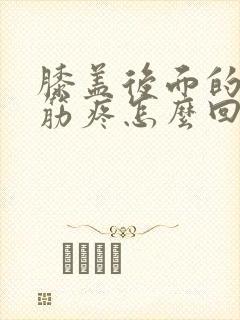 膝盖后面的腿窝筋疼怎么回事吃什么药