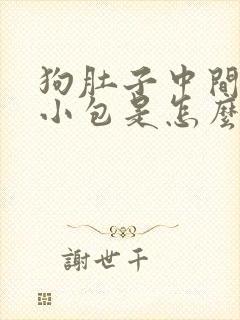 狗肚子中间鼓个小包是怎么回事