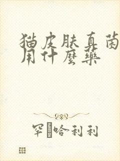 猫皮肤真菌感染用什么药