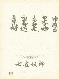 鼻窦炎是中医治好还是西医治好