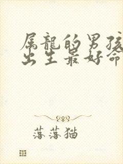 属龙的男孩几点出生最好命