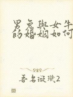 男兔与女牛相配的婚姻如何封面