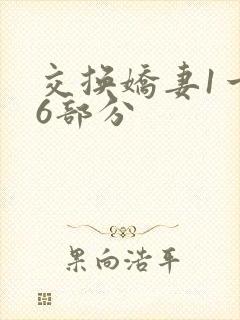 交换娇妻1一36部分
