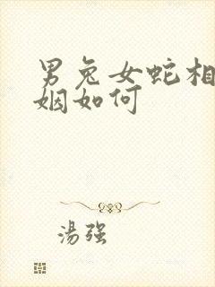 男兔女蛇相配婚姻如何