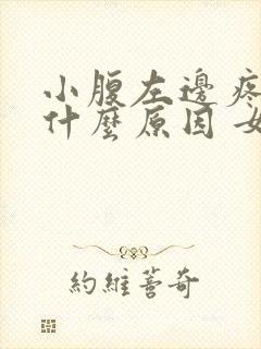 小腹左边疼痛是什么原因 女性