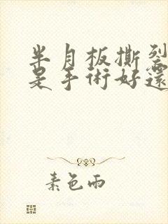 半月板撕裂损伤是手术好还是保守治疗好